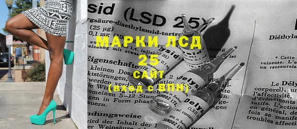 ГАЛЛЮЦИНОГЕННЫЕ ГРИБЫ Краснотурьинск