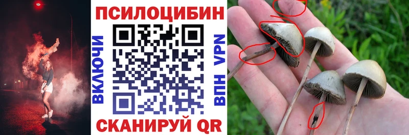 дарнет шоп  Карабаш  MEGA вход  Псилоцибиновые грибы мицелий 